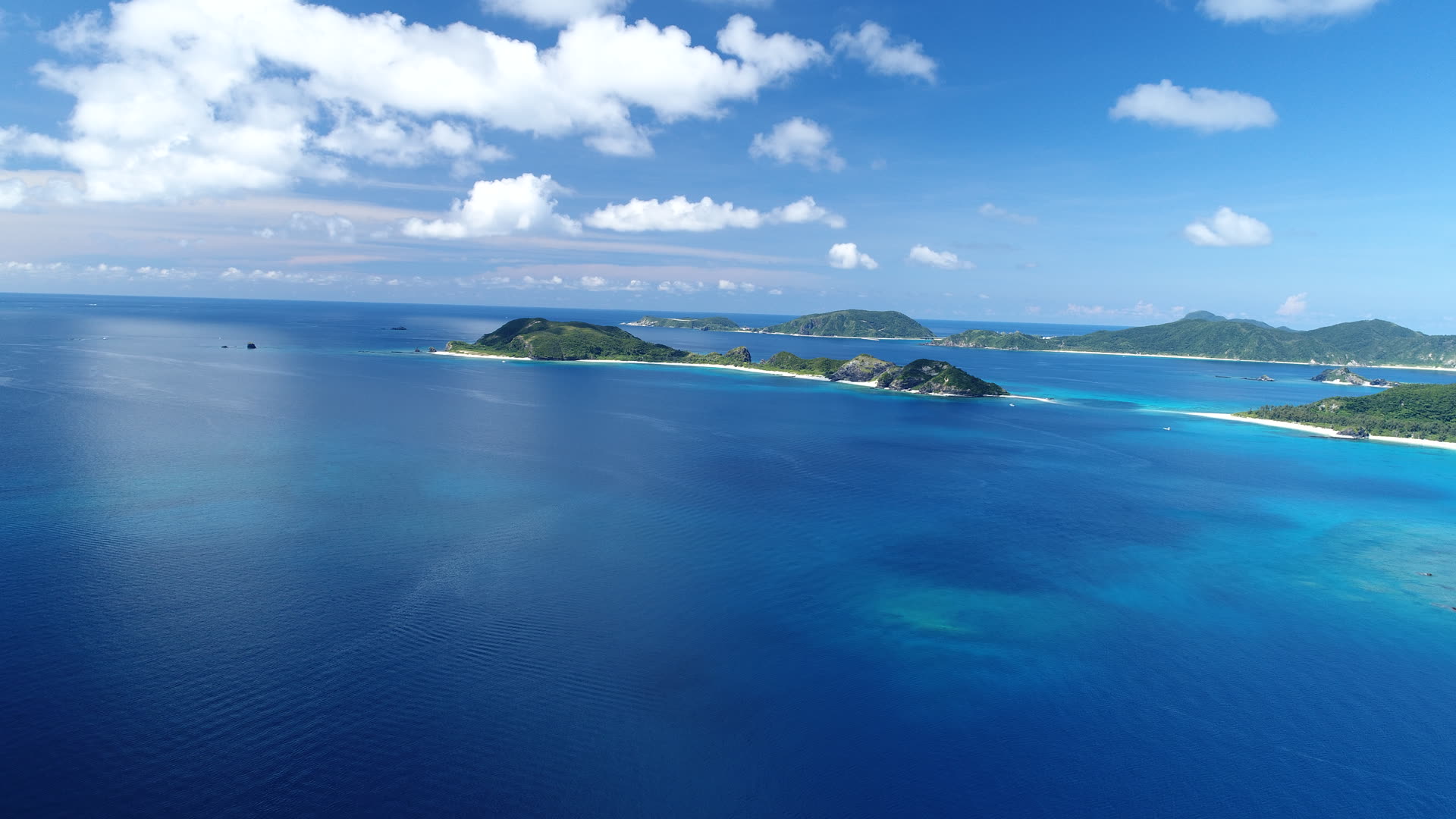 冬になると、この海にザトウクジラがやってきます