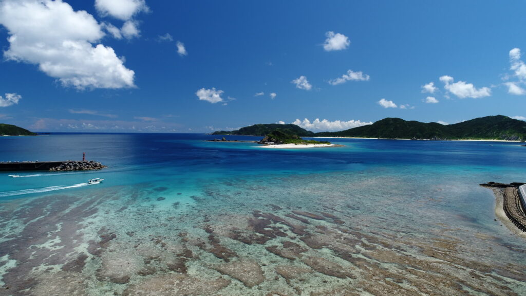浅瀬に広がるさんご礁の模様